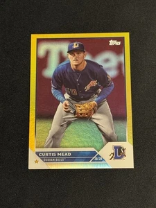 2023 Topps Pro Debutto Curtis Mead Gold Foil #PD-38, Serie #29/50 - Foto 1 di 2
