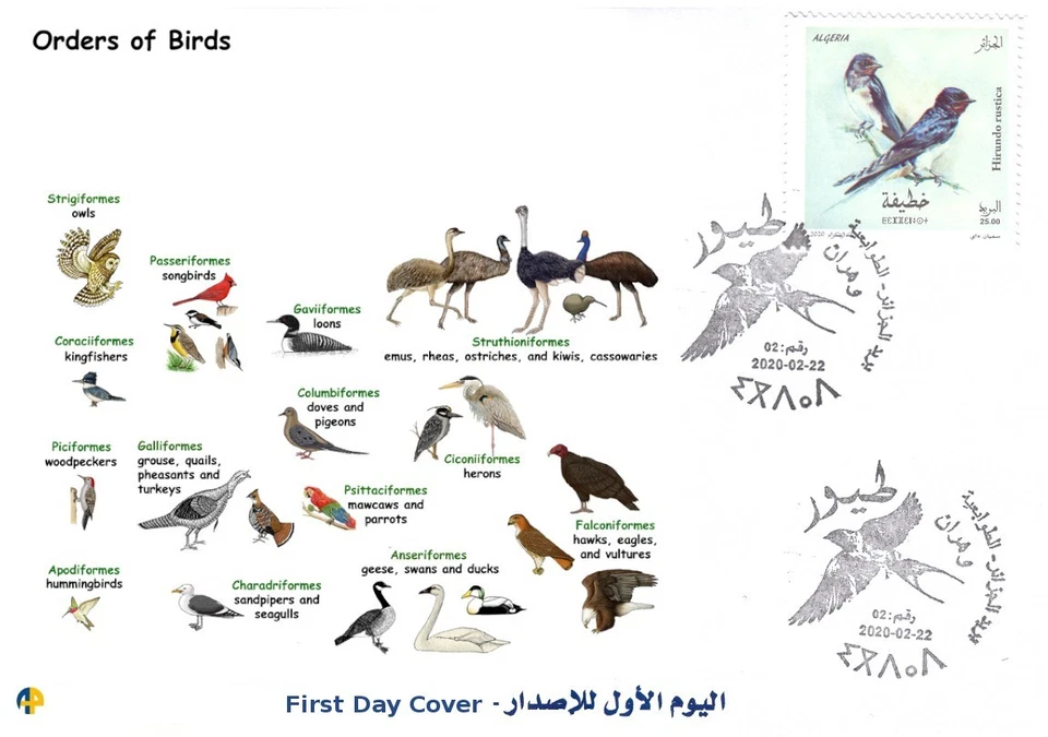 FDC Fauna Orders of birds 鳥類 fugler fåglar oiseaux Vögel 조류 pájaros 鳥 vogels - Image 1 of 1