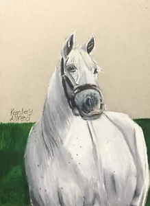 Original Art Horse Colored Pencil Drawing On Gray Toned Paper Artwork Size 6”x8 - Picture 1 of 3