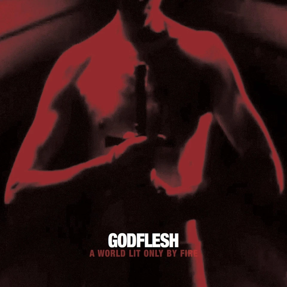 Godflesh A World Only Lit by Fire (Vinyl) (US IMPORT) - Image 1 of 1