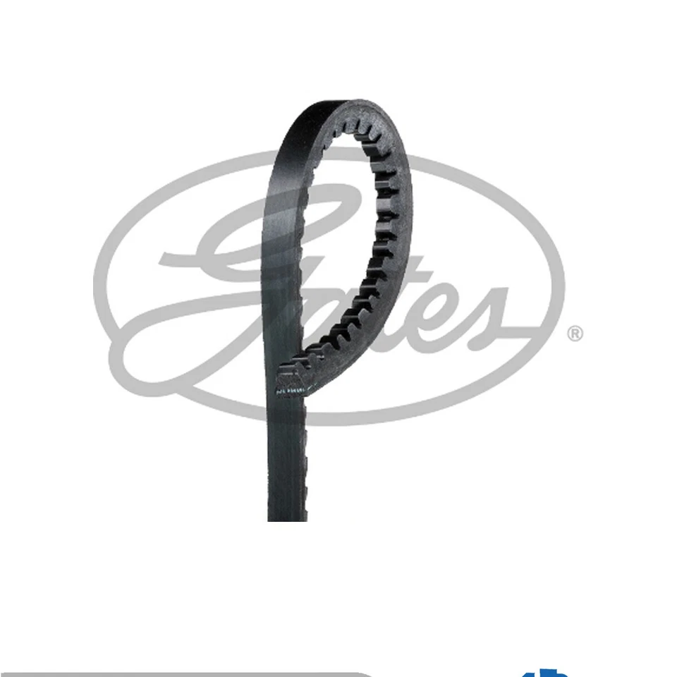 Cinturón en V derecho Gates se adapta a Austin Mini (1960-1993) Rover Mini (1991-2000) 116100210 Foto 1 de 4