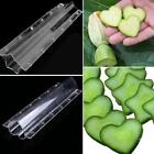 Pentagram Heart Shape Cucumber Shaping Mold Vegetable Mould Tool Forming New A8