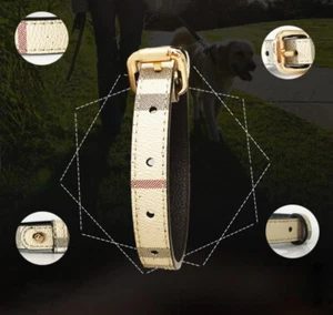 Luxury Branded Dog Collars by Petstwo - Genuine Leather - Bonus Collar Bag - Picture 1 of 9