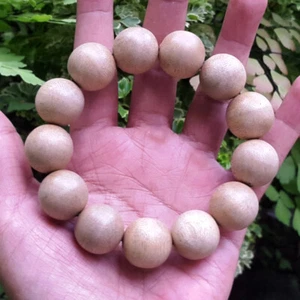 22 Gram Nice Natural Aquilaria Filaria Agarwood Bracelet 18 MM Aloeswood #GF1 - Picture 1 of 7
