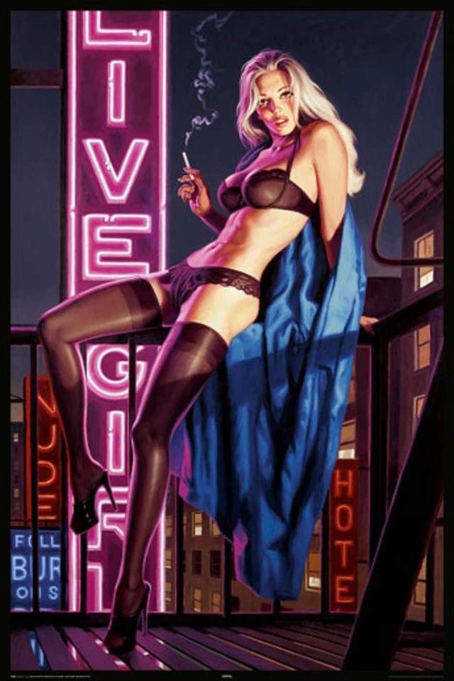 ADULT Poster Live Girls Pin-Up Art Hildebrandt - Image 1 of 1