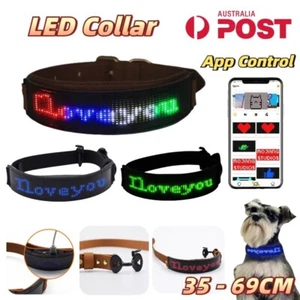 LED Display Pet Collar Dog Cat Light Rechargeable Adjustable Safety Collars App - Picture 1 of 19