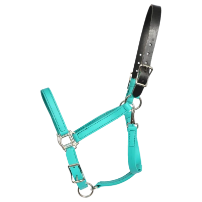 TALLA CABALLO - LISTO PARA USAR - CABESTRO DE PARTICIPACIÓN VERDE AZULADO y PLOMO Hecho de BETA BIOTHANE Foto 1 de 2