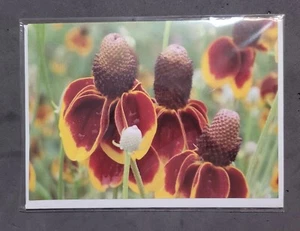 Tarjetas de felicitación divertidas - Imagen 1 de 7