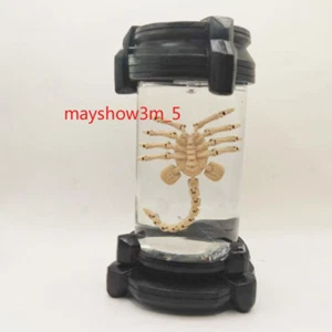2024 Alien Romulus Regal Popcorn Facehugger Lightup Bucket FilmMemorabilia Promo - Picture 1 of 7