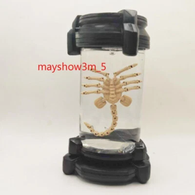 2024 Alien Romulus Palomitas Regales Facehugger Cubo Iluminado Película Memorabilia Promo Foto 1 de 4