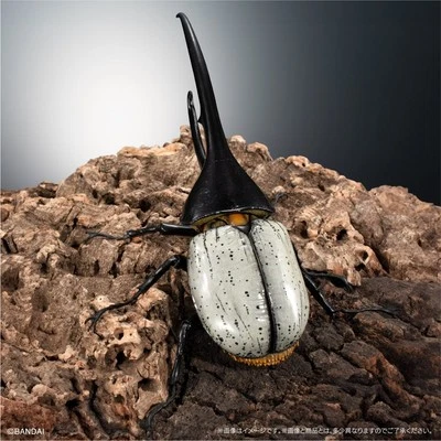 The Diversity of Life on Earth Premium Hercules Beetle Dynastes hercules lichyi - Image 1 of 4