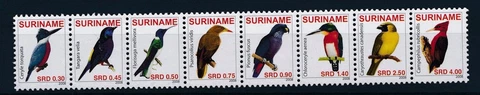 [SU1559] Suriname Surinam 2008 Birds MNH Cover