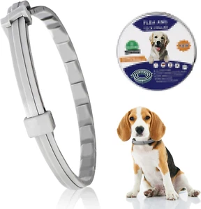Verstellbar Zecken- & Flohschutz Halsband Hund, Floh und Zeckenhalsband für Hund - Bild 1 von 6