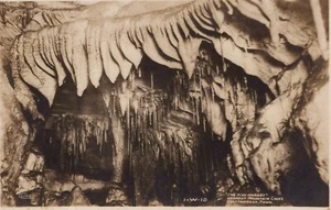 Real Photo Fish Market Lookout Mountain Cave Chattanooga TN Tennessee Postcard - Picture 1 of 2