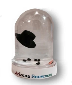 ARIZONA Globo de Nieve MUÑECO DE NIEVE DERRETIDO Globo de Nieve Navidad Caja de Regalo Divertido Secreto Santa - Imagen 1 de 4