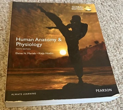 Essentials of Human Anatomy & Physiology, Global Edition by Marieb, Elaine N. - Image 1 of 4