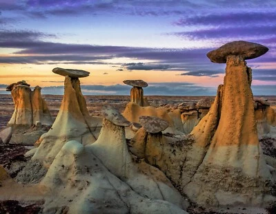 3D WILDLIFE LENTICULAR PRINT PICTURE POSTER 3D WALL ART-SOUTHWEST SCENES 3FLIPS - Image 1 of 4