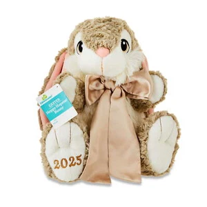 Easter Large Brown Hopster Bunny Plush, 13 in, by Way To Celebrate toy - Picture 1 of 5