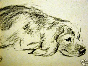 Lucy Dawson 1946 ENGLISH SETTER Dog Art Print Matted - Picture 1 of 2