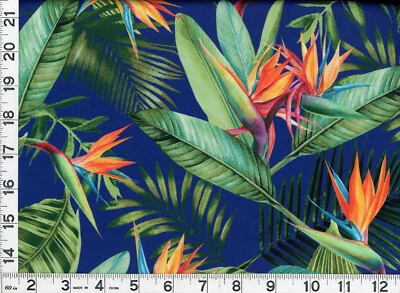MDG Colorful Bird of Paradise Flowers Blue Quilting Sewing Fabric by Yard 517-2 DP