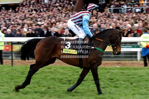 2004 BEST MATE GOLD CUP JIM CULLOTY PHOTO HORSE RACING CHELTENHAM FESTIVAL 2 - Picture 1 of 1