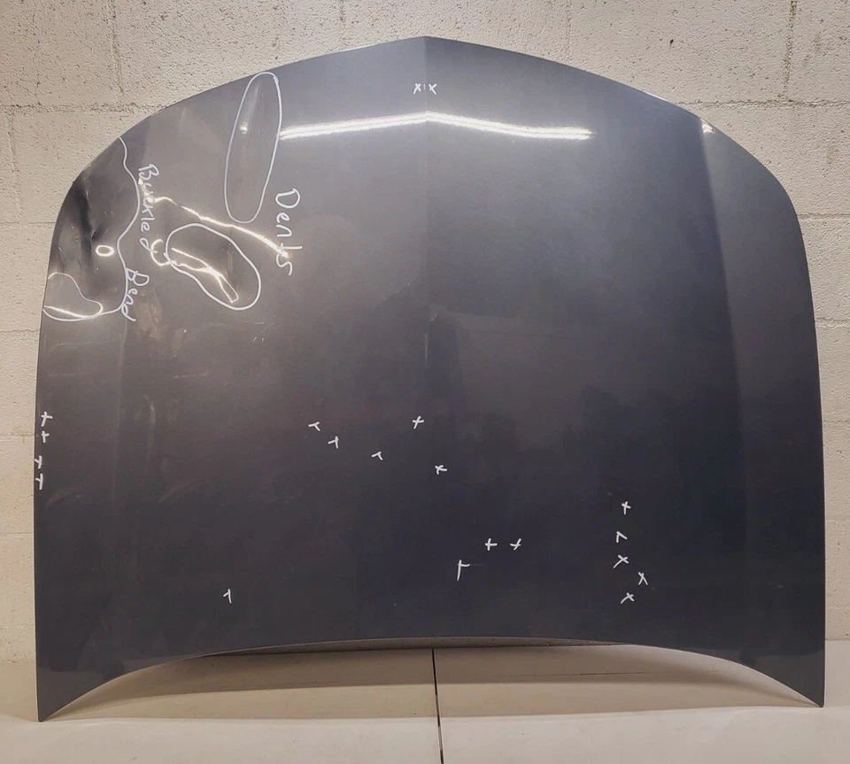 2009 2010 2011 2012 2013 2014 Acura TL capó delantero panel OEM usado  Foto 1 de 4