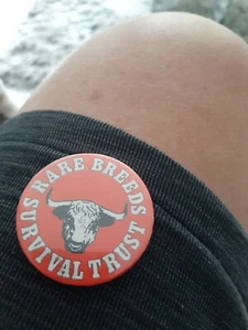 Rare Breeds Survival Trust Vintage Badge - Foto 1 di 2