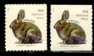 #5544 - 5545  2021 Brush Rabbit Sheet & Coil set/2 - MNH - Picture 1 of 1