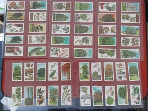 Brooke Bond Trees in Britain 1966 Full Set Of 50 - Bild 1 von 2