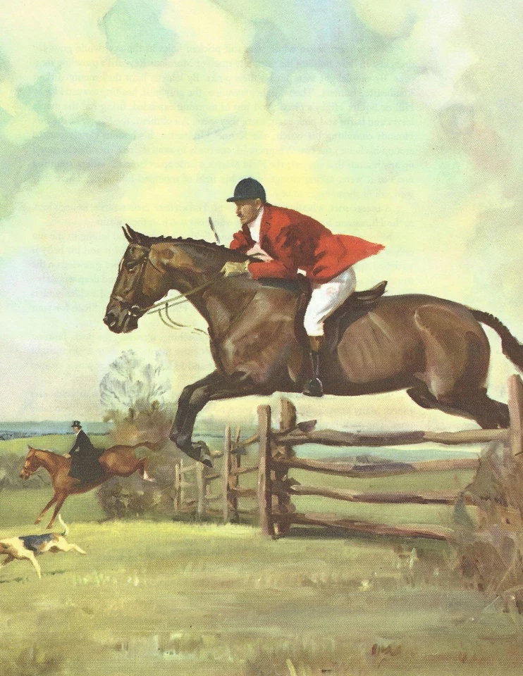 Hunter "Fox Hunt" Horse - 1951 Vintage illustration by Wesley Dennis - Image 1 of 1