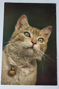 Vintage 1940 Edition Stehli Art PC Golden Tabby Katze mit Glocke - Bild 1 von 2