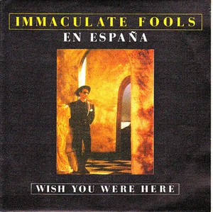7" promo IMMACULATE FOOLS wish you were here 45 SINGLE SPANISH 1987 UNIQUE - Imagen 1 de 2