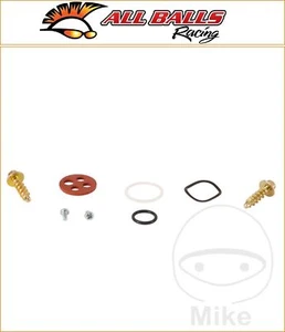 Husqvarna WR 250 2009-2013 ALLE KUGELN Benzinhahn Reparatursatz - Bild 1 von 1