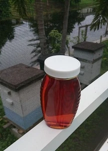 1LB Pure Raw Unfiltered Natural Orange Blossom Honey (1-3 Day Free Shipping) - Picture 1 of 1
