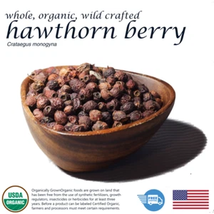 Organic Hawthorn Berry Whole Dried Crataegus Monogyna Premium 4oz Herbal - Picture 1 of 2