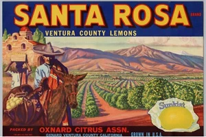 Santa Rosa Lemons, Vintage Mid-Century Fruit Crate Label, Oxnard Ca, Cool Art A2 - Picture 1 of 2