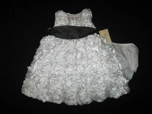 NEW "PURE WHITE ROSES" Dress Girls Baby Clothes 24m Spring Summer Boutique 2 pc - Picture 1 of 1