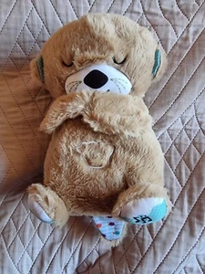 Schlummer otter - Bild 1 von 2