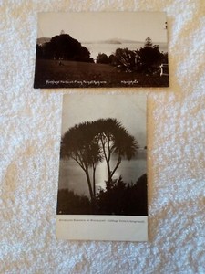 2 CARD;NEW ZEALAND;AUCKLAND HARBOUR;PARNELL PARK;CABBAGE TREE; ca1900