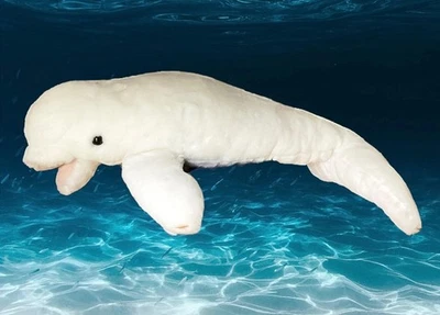 Rare STEIFF 063244 30” HUGE WHITE BELUGA WHALE  TAG BUTTON - Image 1 of 4