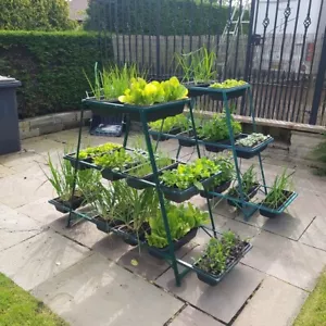 Gewächshausregal Hochbeet Inszenierung Gemüsesalat Vegan Terrasse Stufenpflanzgefäß - Bild 1 von 11