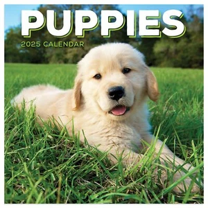 TF PUBLISHING 2025 Puppies Mini Calendar - Large Grids for Appointments and S... - Picture 1 of 5