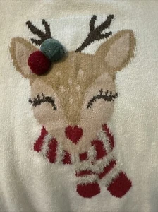 Lot Of 2 Sweaters, Reindeer, Size 14/16 Kids Size 10/12 Christmas / Holiday - Picture 1 of 5