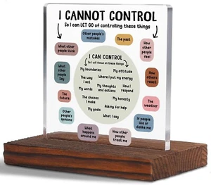 I Can Control Psychology Student Graduation Gift Clear Desk Decor Signs, Psyc... - Picture 1 of 6