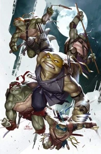 TEENAGE MUTANT NINJA TURTLES #100 NM ( INHYUK LEE) VIRGIN COVER - Imagen 1 de 1
