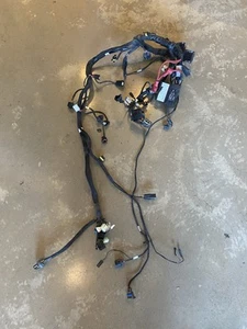 2015 - 2023 Indian Scout Main Wiring Harness / Loom - Picture 1 of 6