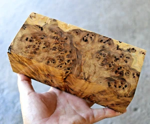 Exotic Malayan Teak Burl Lumber Turning DIY Woodworking 3 4/8"X 8"X 2 4/8" #883 - Picture 1 of 16