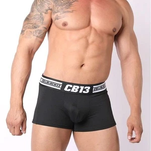 Tronco de línea base Cellblock13 (grande) - Imagen 1 de 3