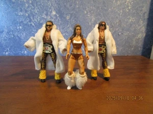 wwe MNM Custom Tag Team Johnny Nitro Joey Mercury & Melina - Bild 1 von 4
