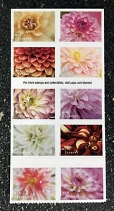 2025USA #5992-9001 Forever Dahlias - Block of 10 From Booklet  Mint flowers - Picture 1 of 2